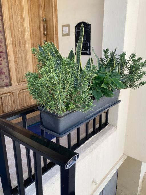 Dream Theatre Maisonette Marsaskala Dış mekan fotoğraf